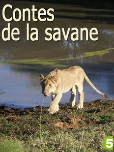 Contes de la savane